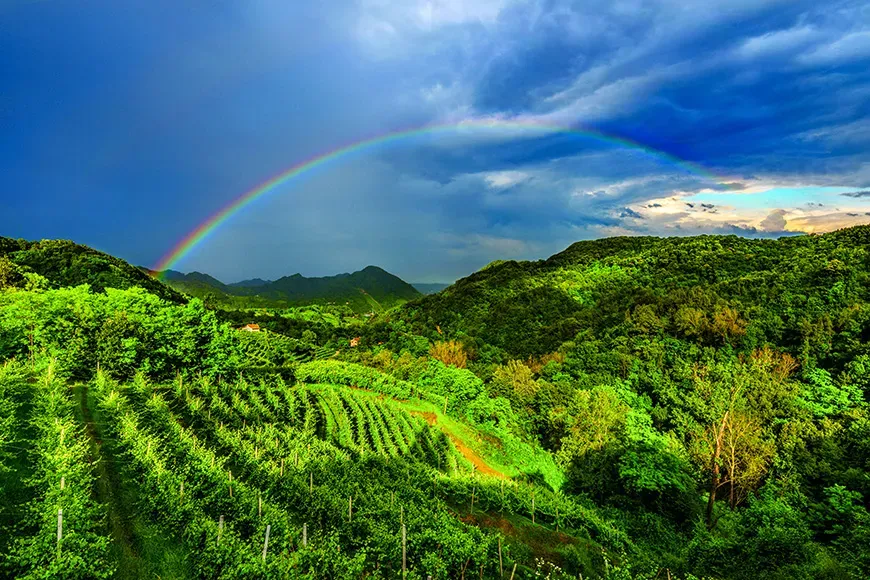 Le colline del prosecco di conegliano e valdobbiadene